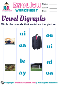 Rich Results on Google's SERP when searching for 'Vowel digraphs (c)'