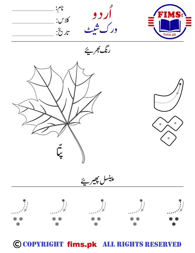 Rich Rusults on Google's SERP when searching for 'Rich Rusults on Google's SERP when searching for 'pay urdu worksheet'