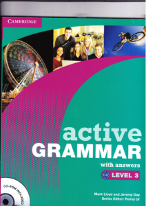 Active Grammar with Answers. Level 3